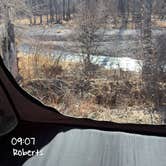 Review photo of Water Birch by Olivia W., March 22, 2026