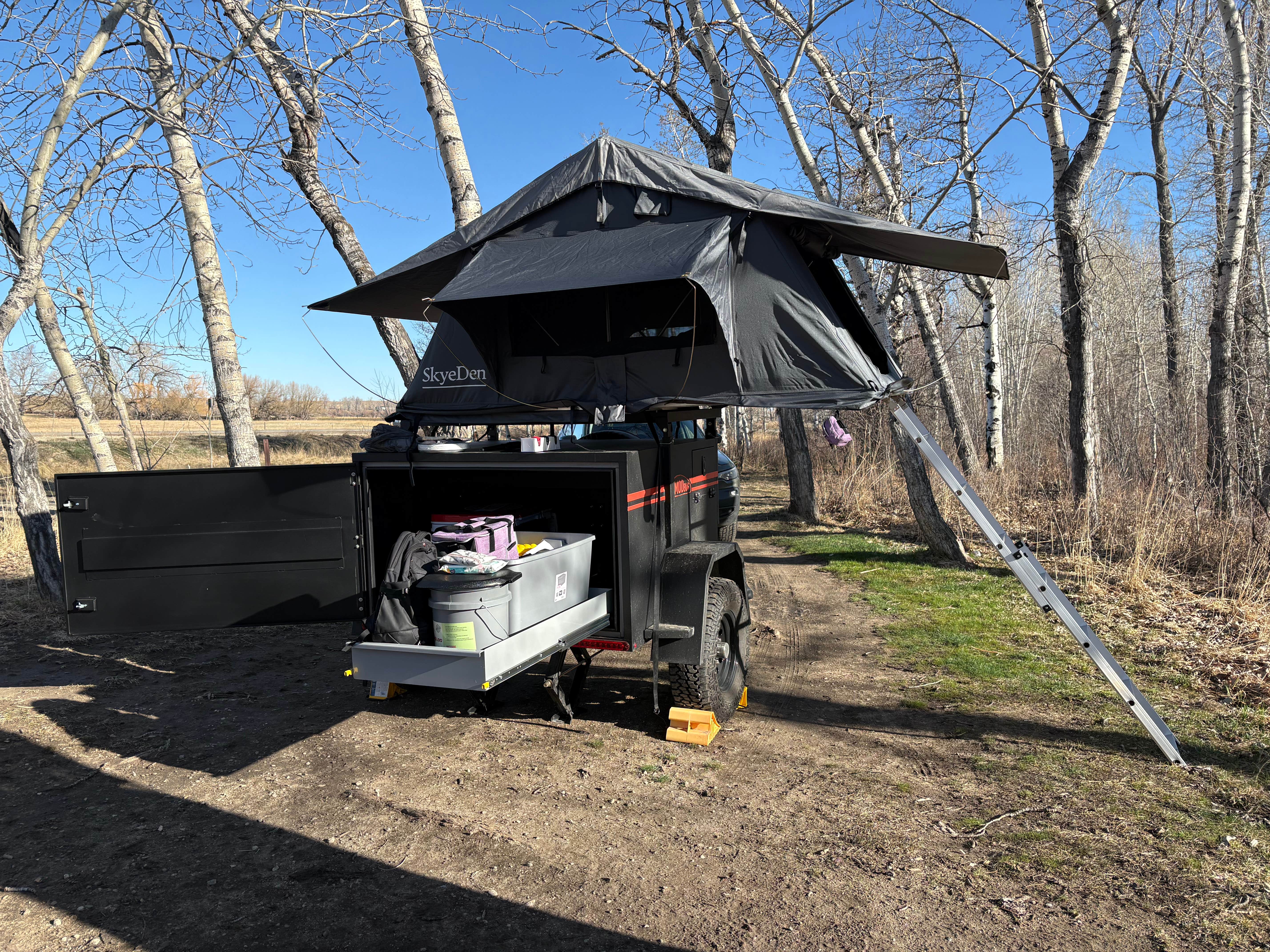 Camper-submitted photo at Water Birch near Red Lodge, MT