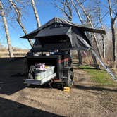 Review photo of Water Birch by Olivia W., March 22, 2026