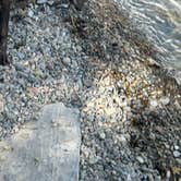 Review photo of West Shore Unit — Flathead Lake State Park by Tim , June 12, 2025