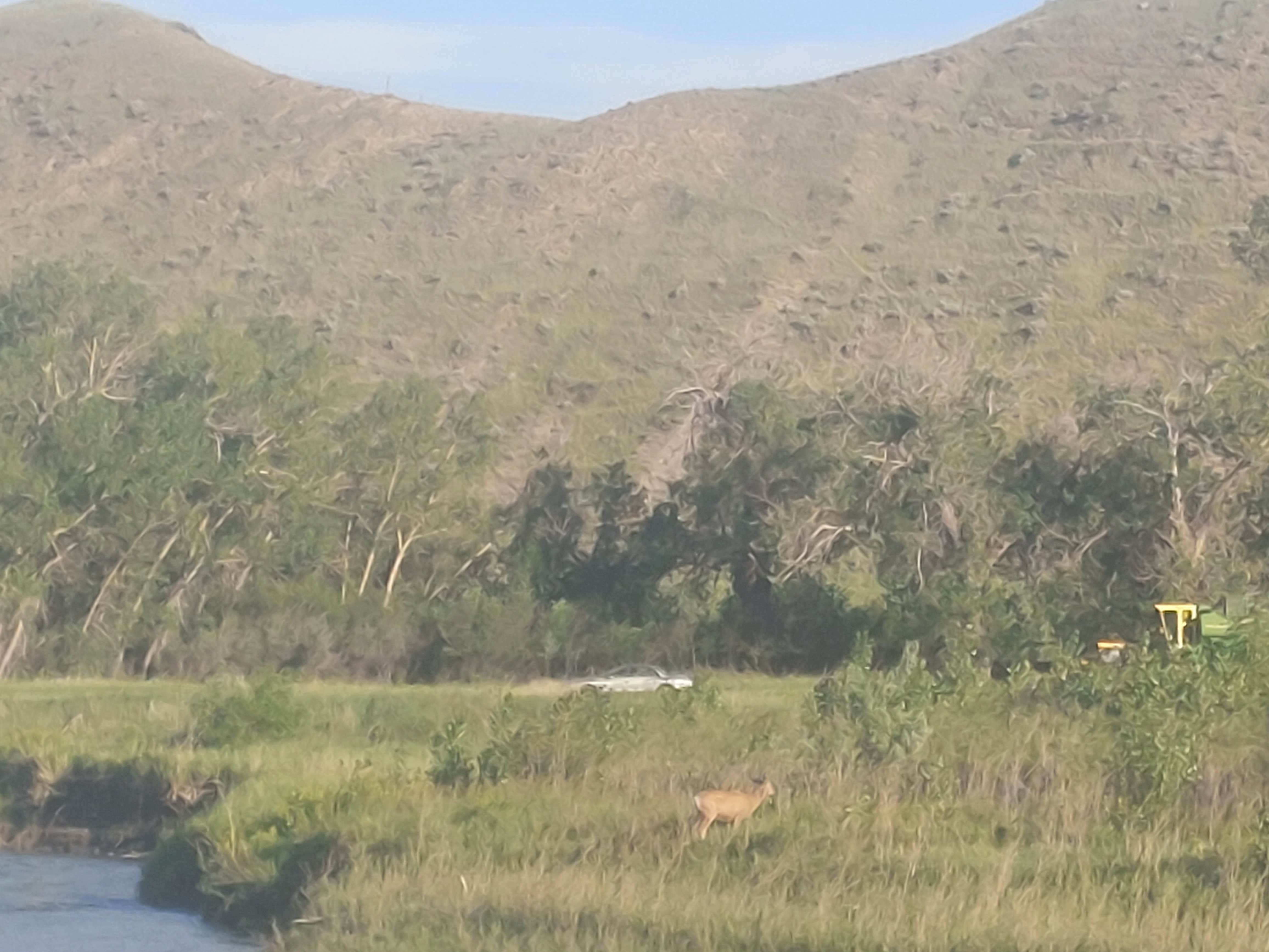 Camper-submitted photo at Williamson Memorial City Park near Sweet Grass, MT