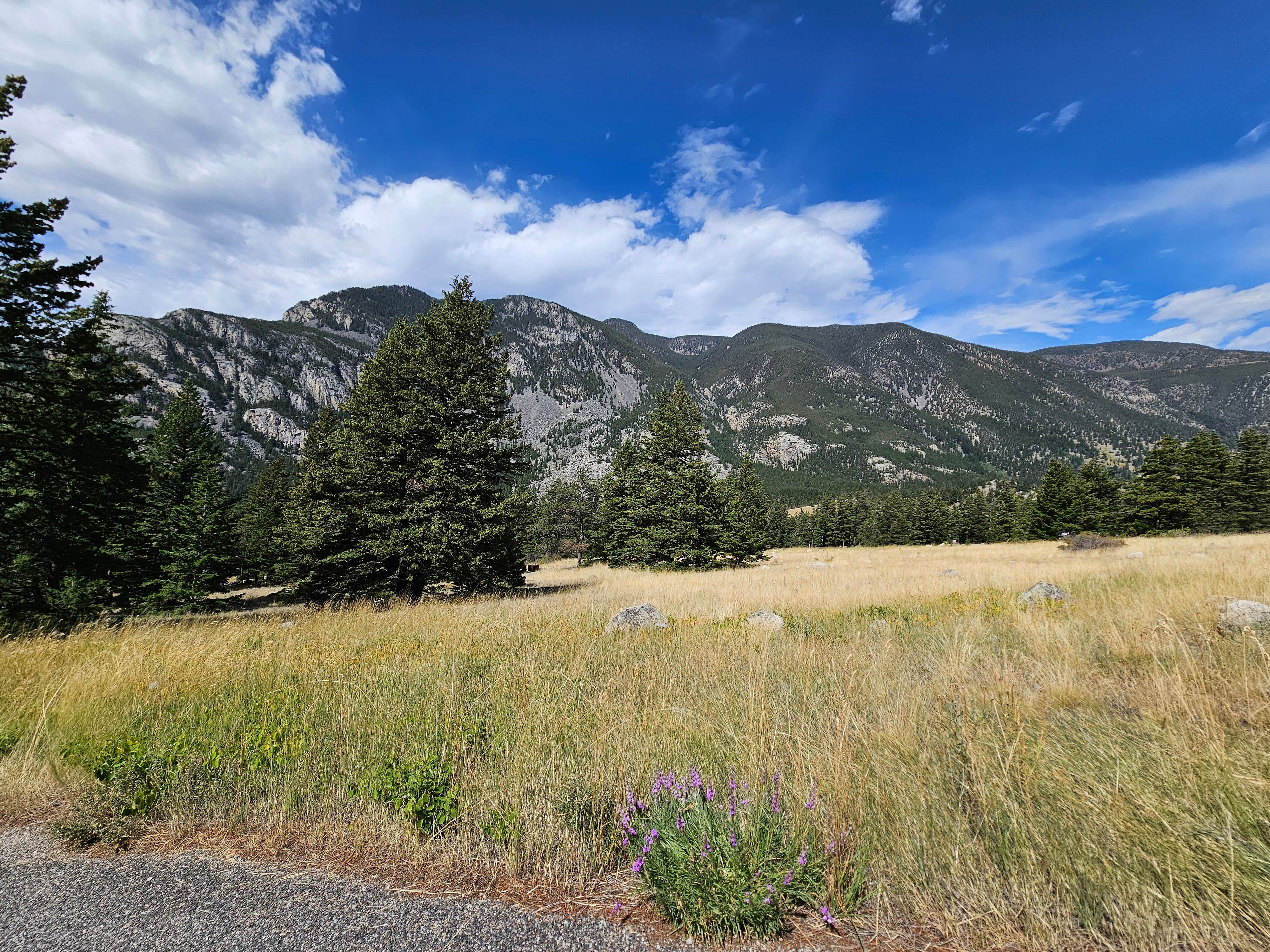 Camping near Castle Rock: Woodbine Campground, Nye, Montana