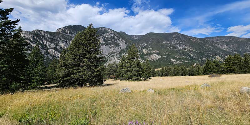 Camper submitted image from Woodbine Campground