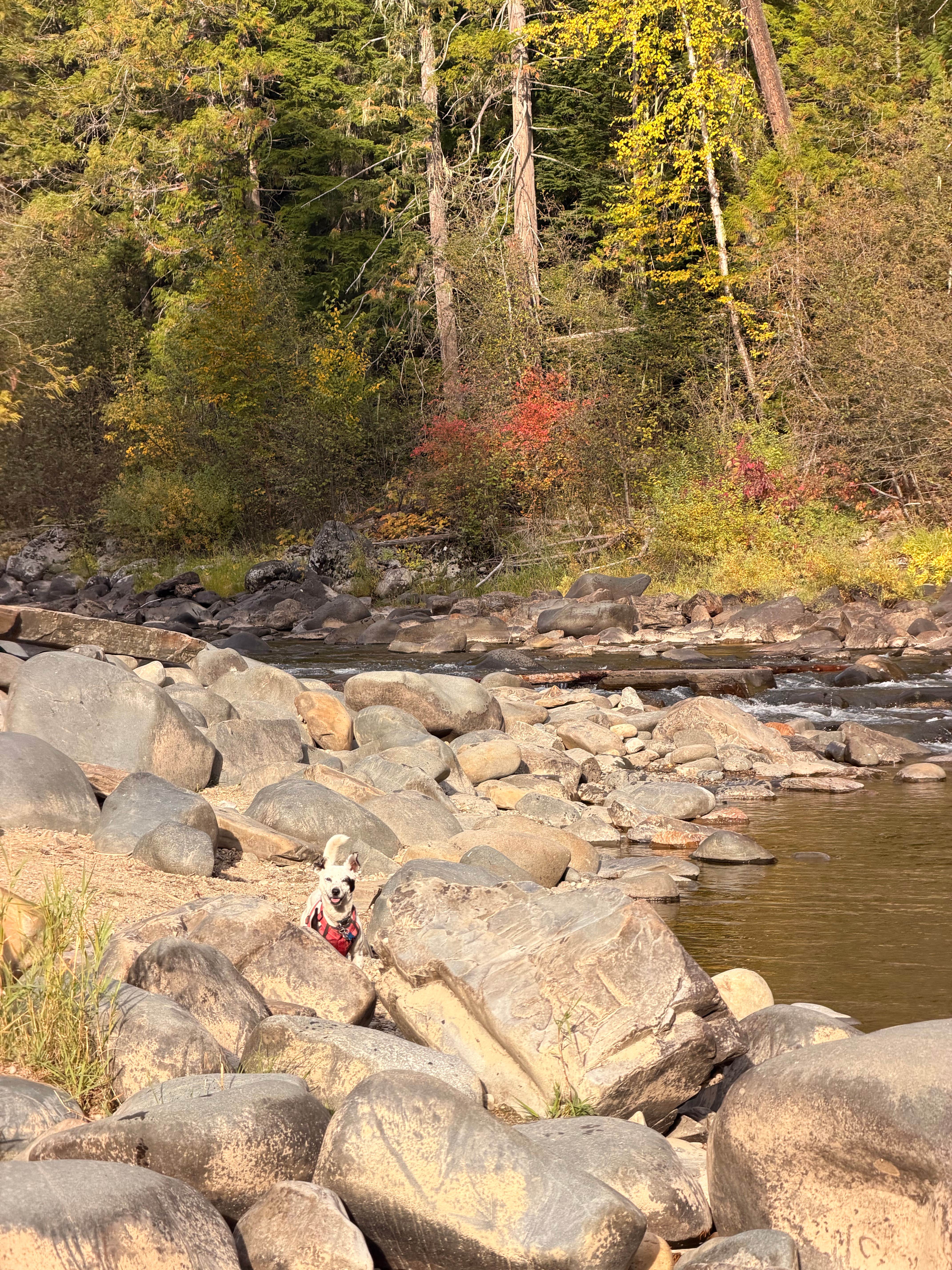 Camper-submitted photo at Yaak Falls Campground near Kootenai National Forest