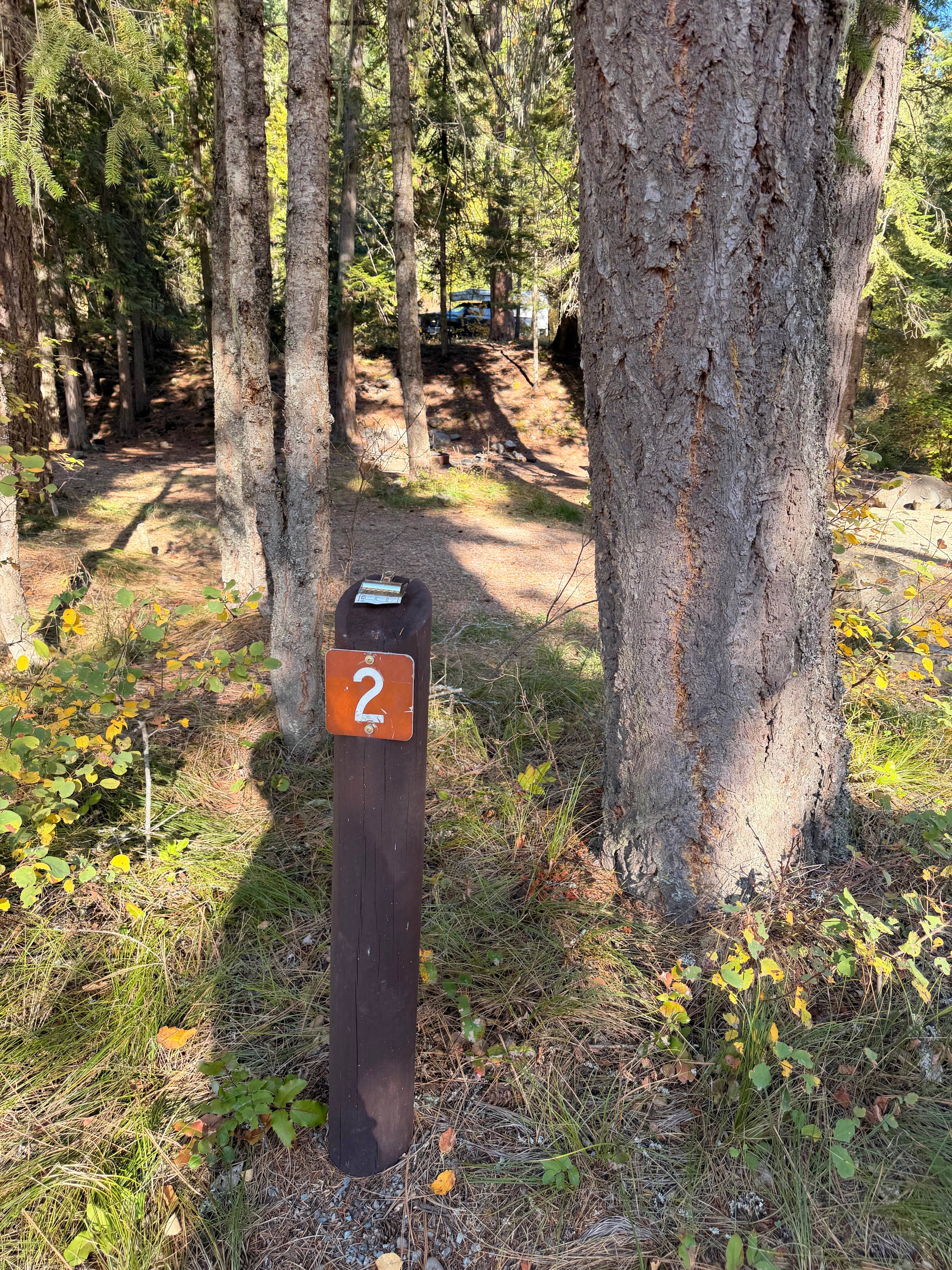 Camping near Red Top Campground: Yaak Falls Campground, Troy, Montana