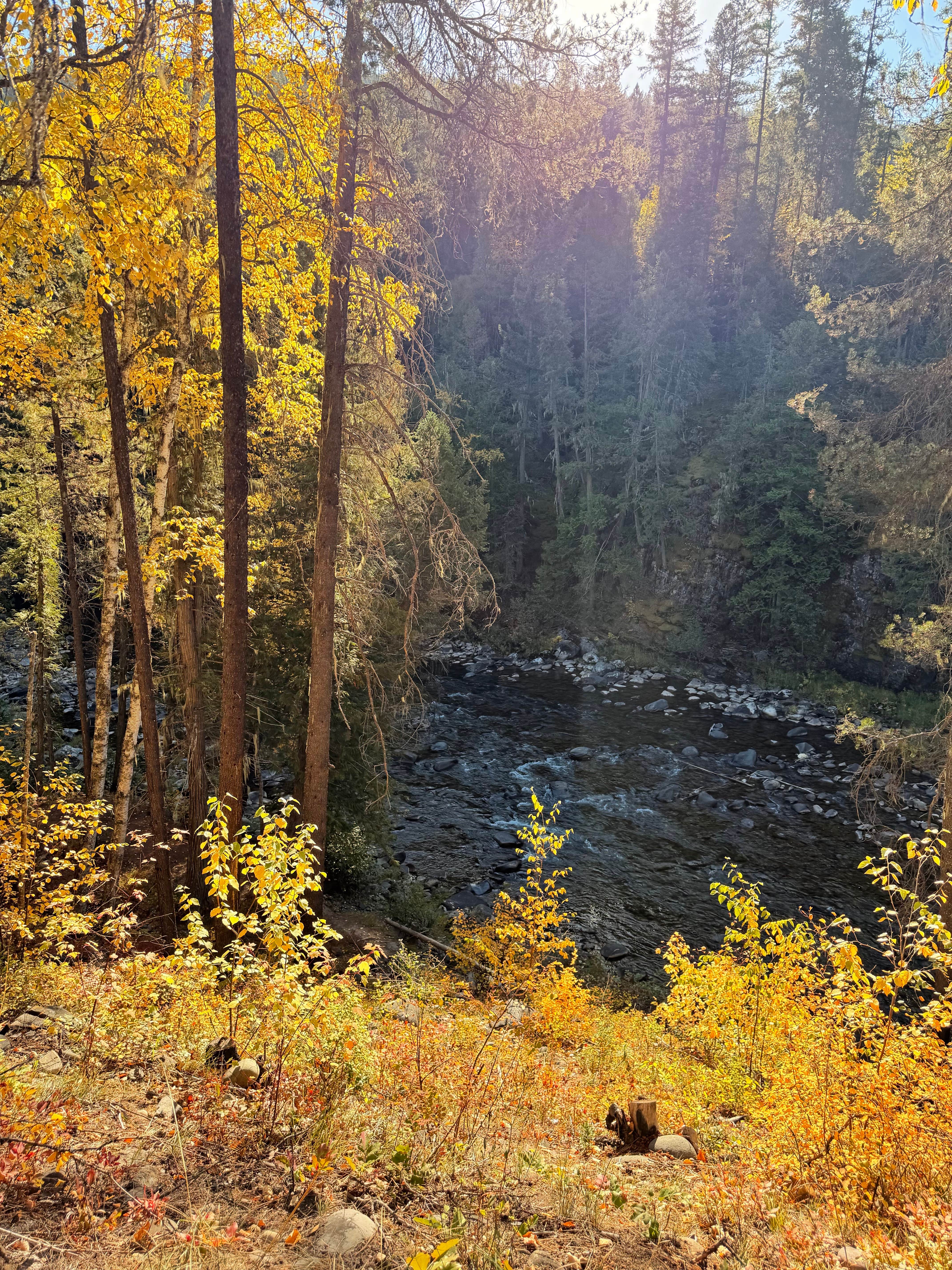 Camper-submitted photo at Yaak Falls Campground near Kootenai National Forest