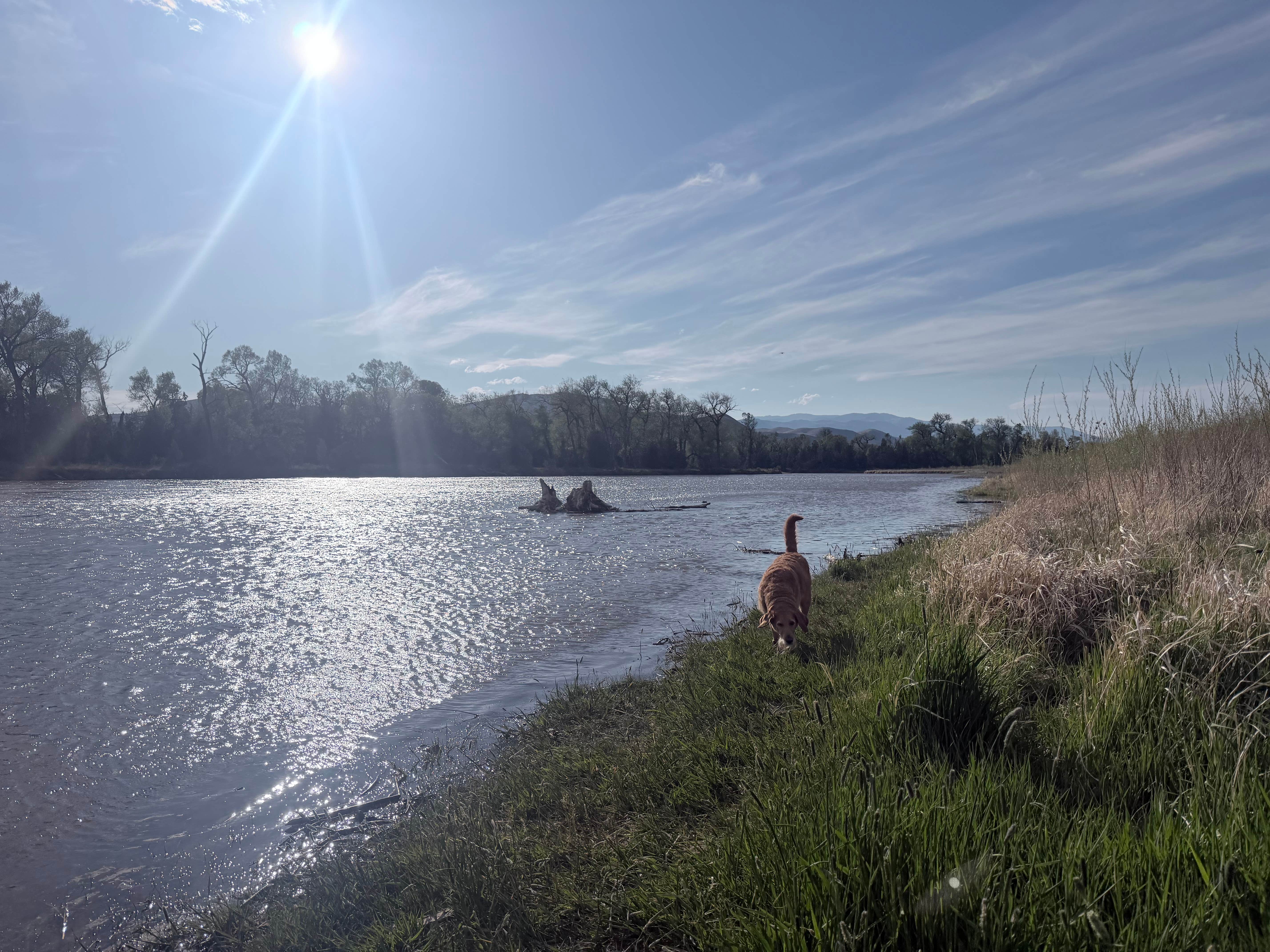 Camper-submitted photo at Yorks Islands Fishing Access Site near Townsend, MT