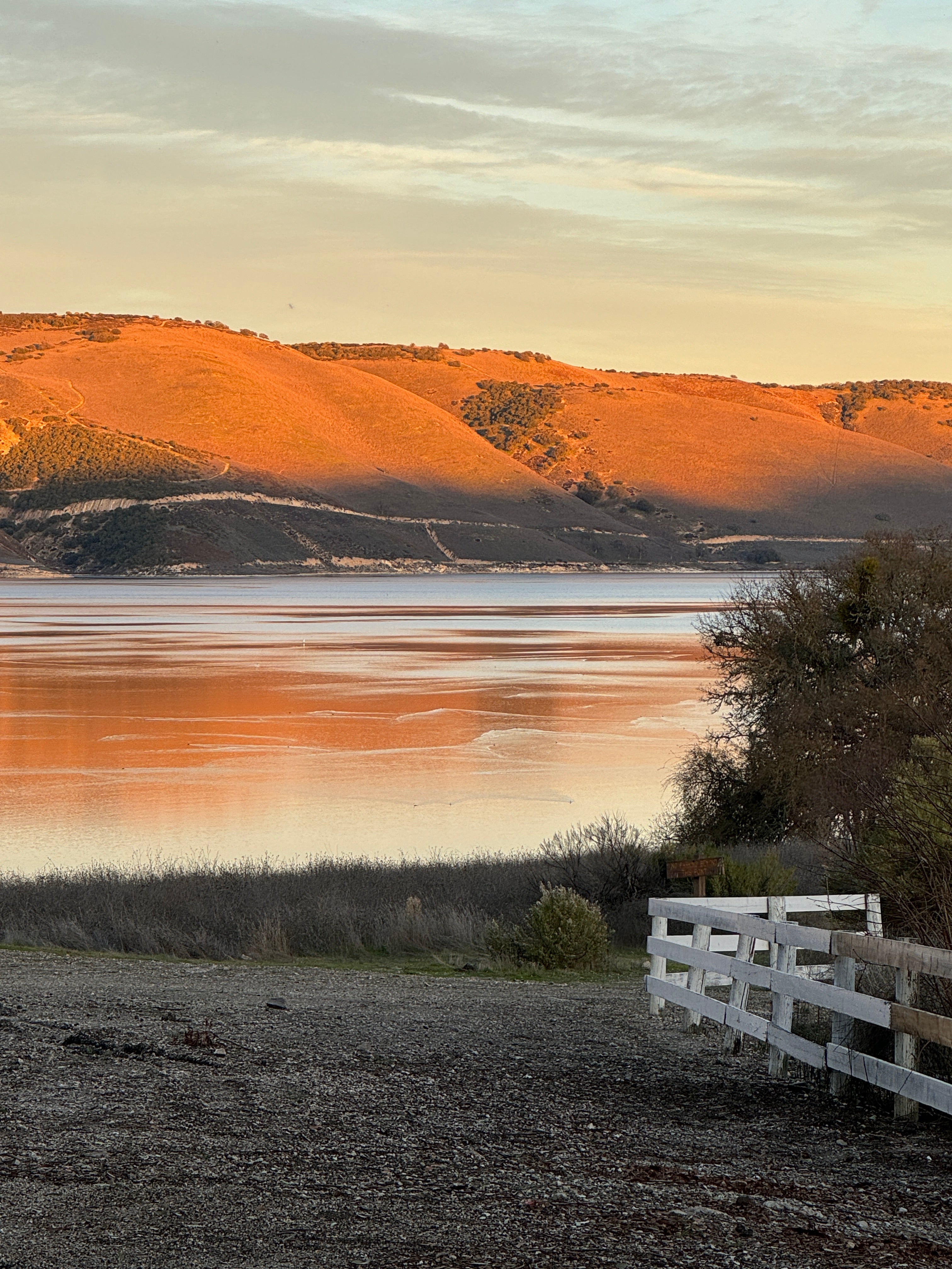 Camper submitted image from Monterey County Lake San Antonio South Shore - 1