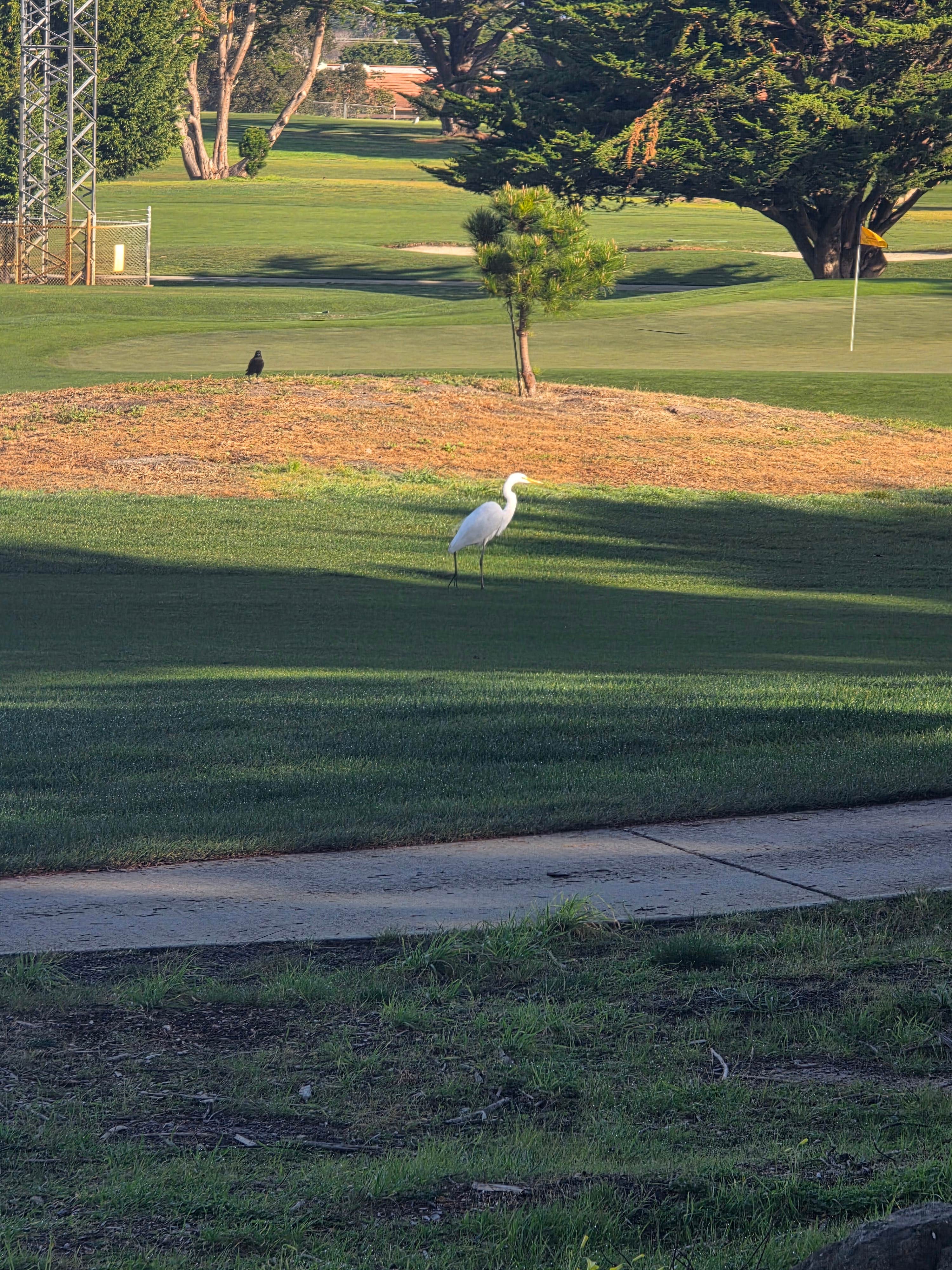Camper-submitted photo at Monterey Pines RV Park - Military near Pacific Grove, CA