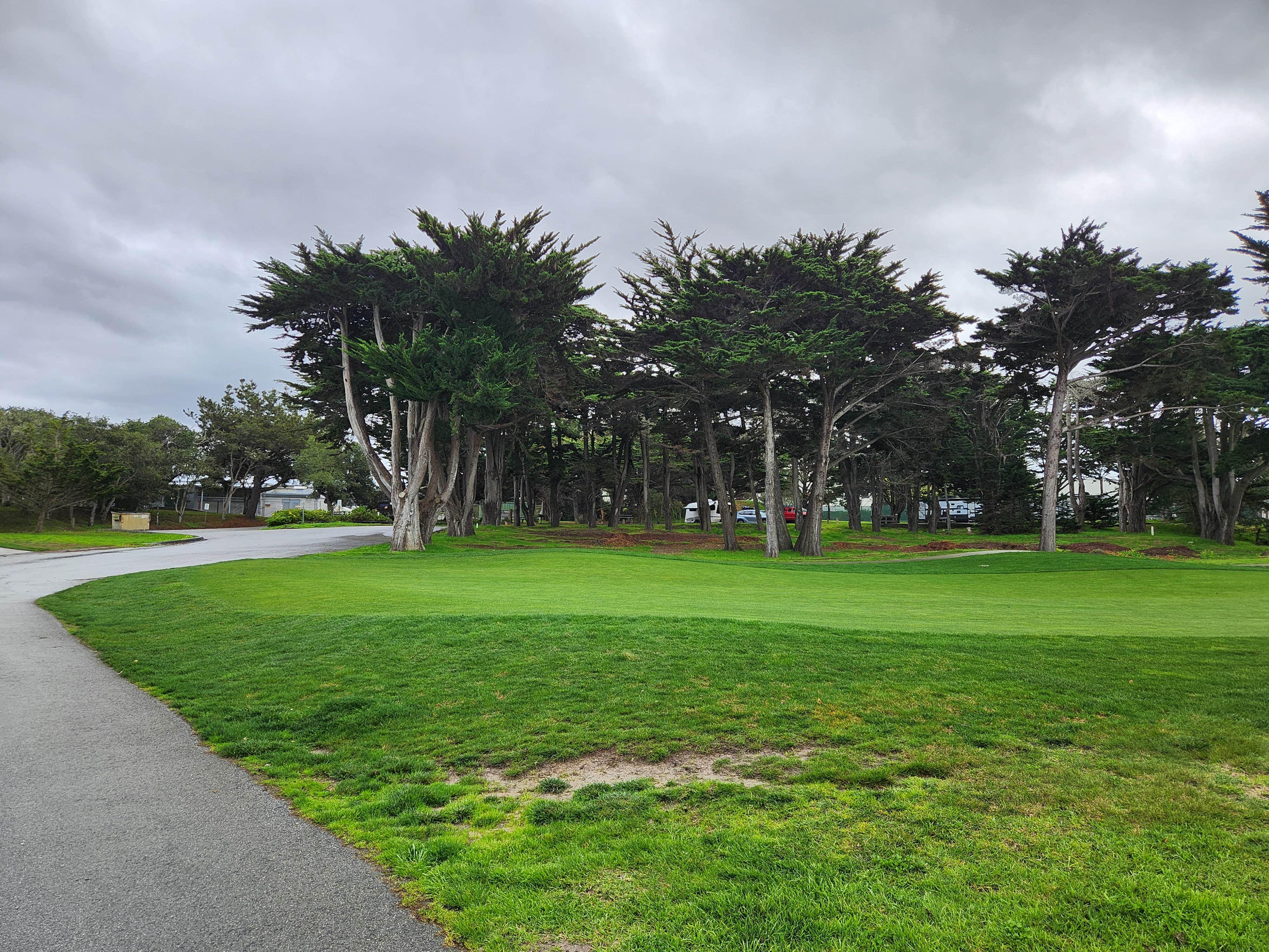 Camper-submitted photo at Monterey Pines RV Park - Military near Spreckels, CA