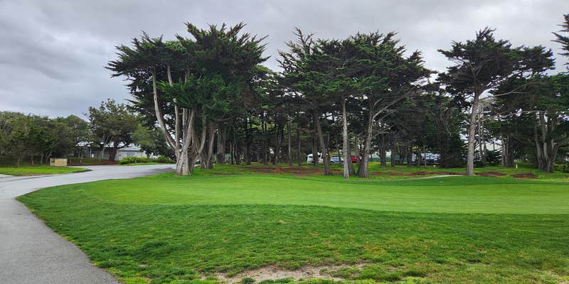 Camper submitted image from Monterey Pines RV Park - Military