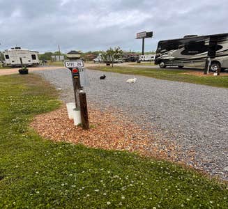 Camper-submitted photo from Montgomery South RV Park