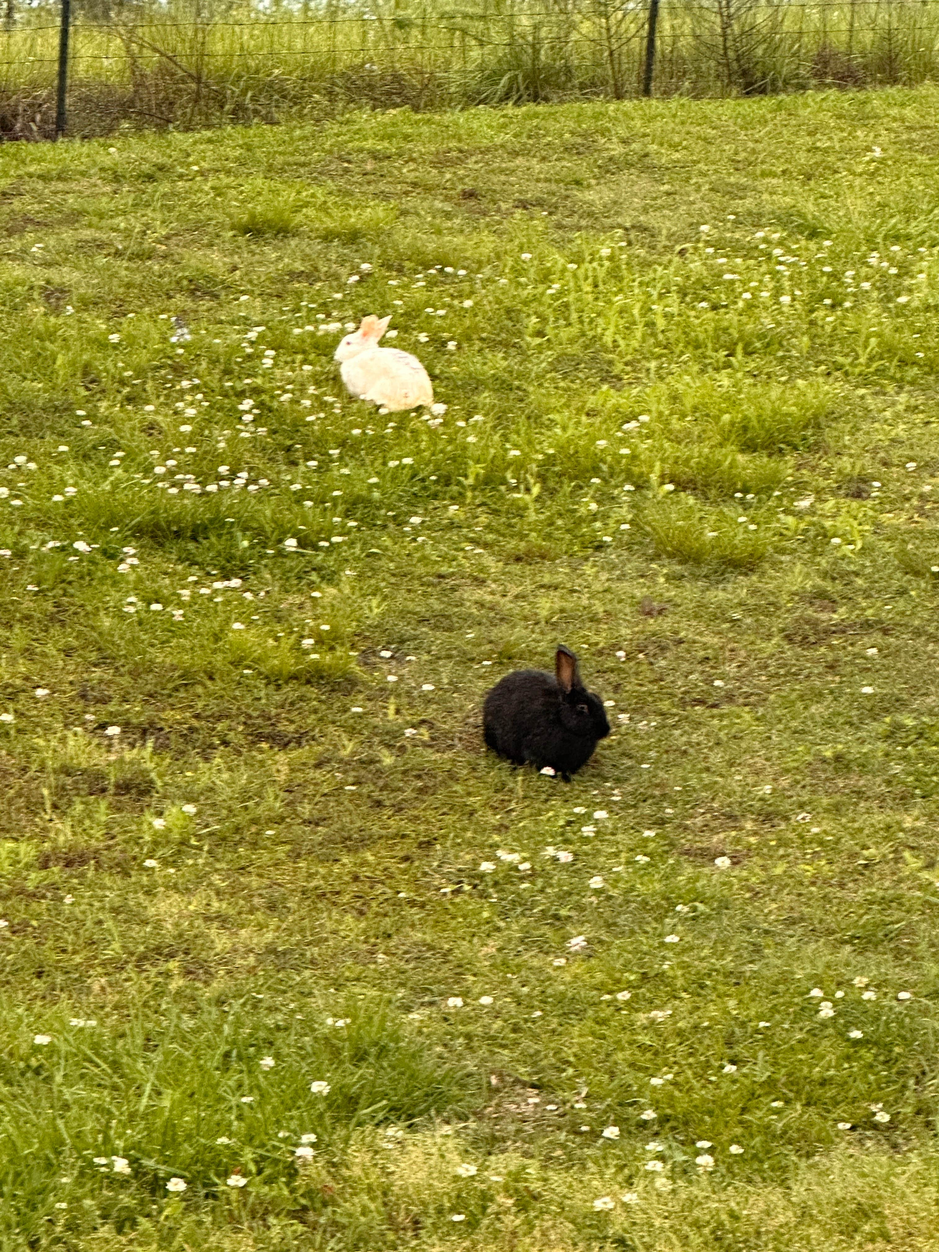 Camper-submitted photo at Montgomery South RV Park near Kent, AL