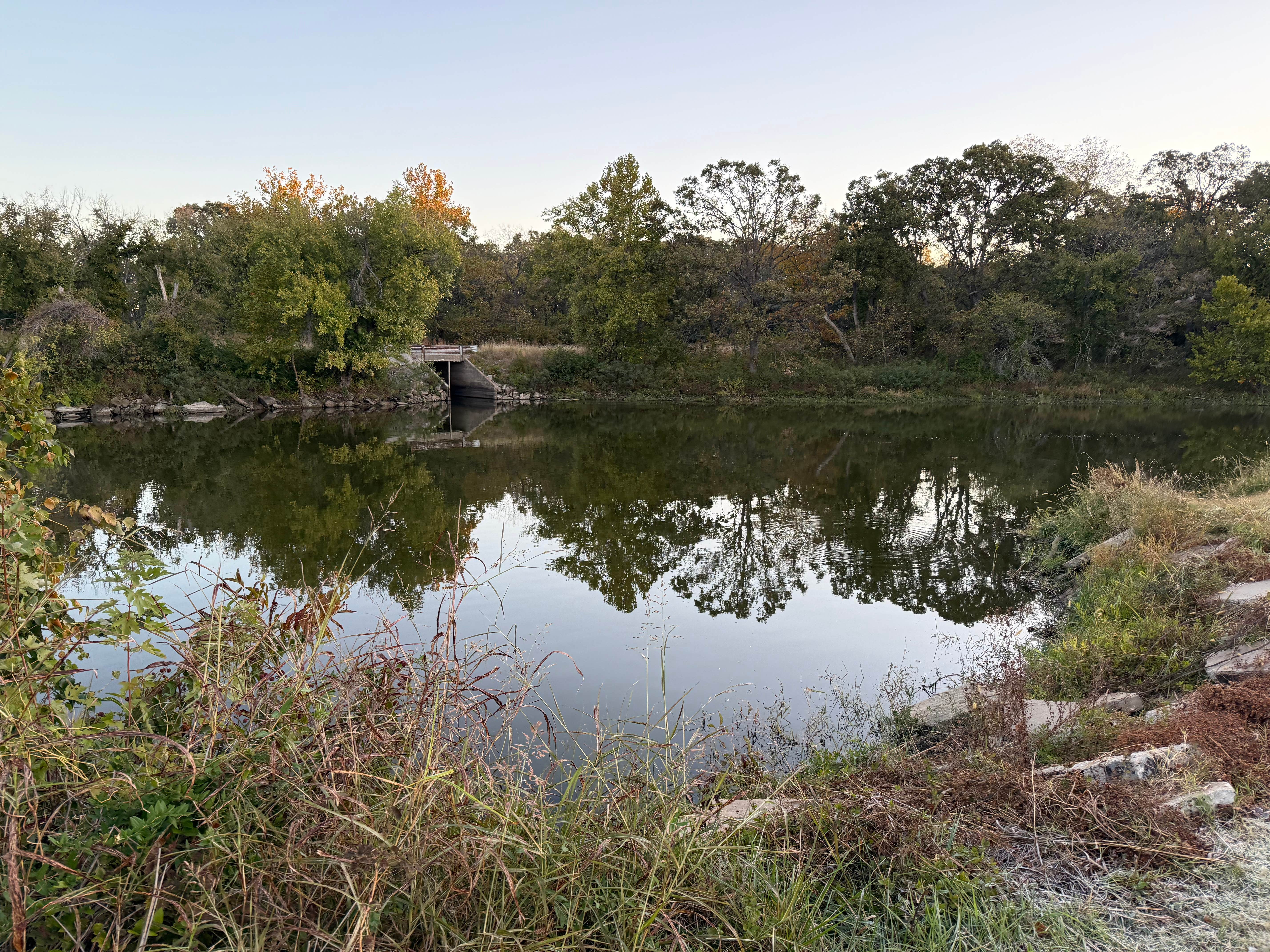 Camper submitted image from Montgomery State Fishing Lake Dispersed - 4