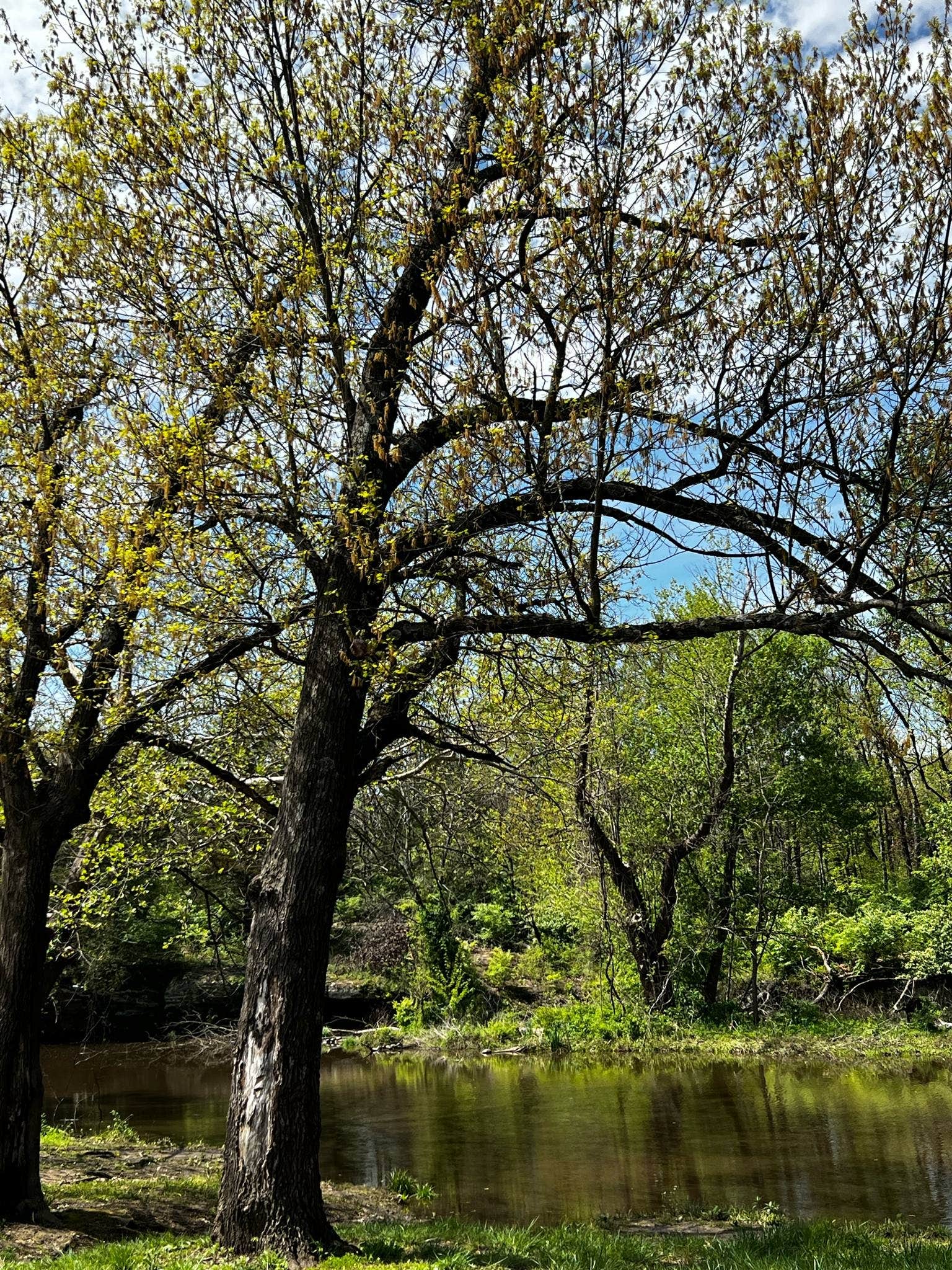 Camper-submitted photo at Montgomery State Fishing Lake Dispersed near Coffeyville, KS