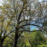 Review photo of Montgomery State Fishing Lake Dispersed by Mela R., April 22, 2025