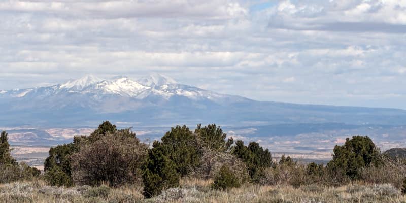 Camper submitted image from Monticello Lake