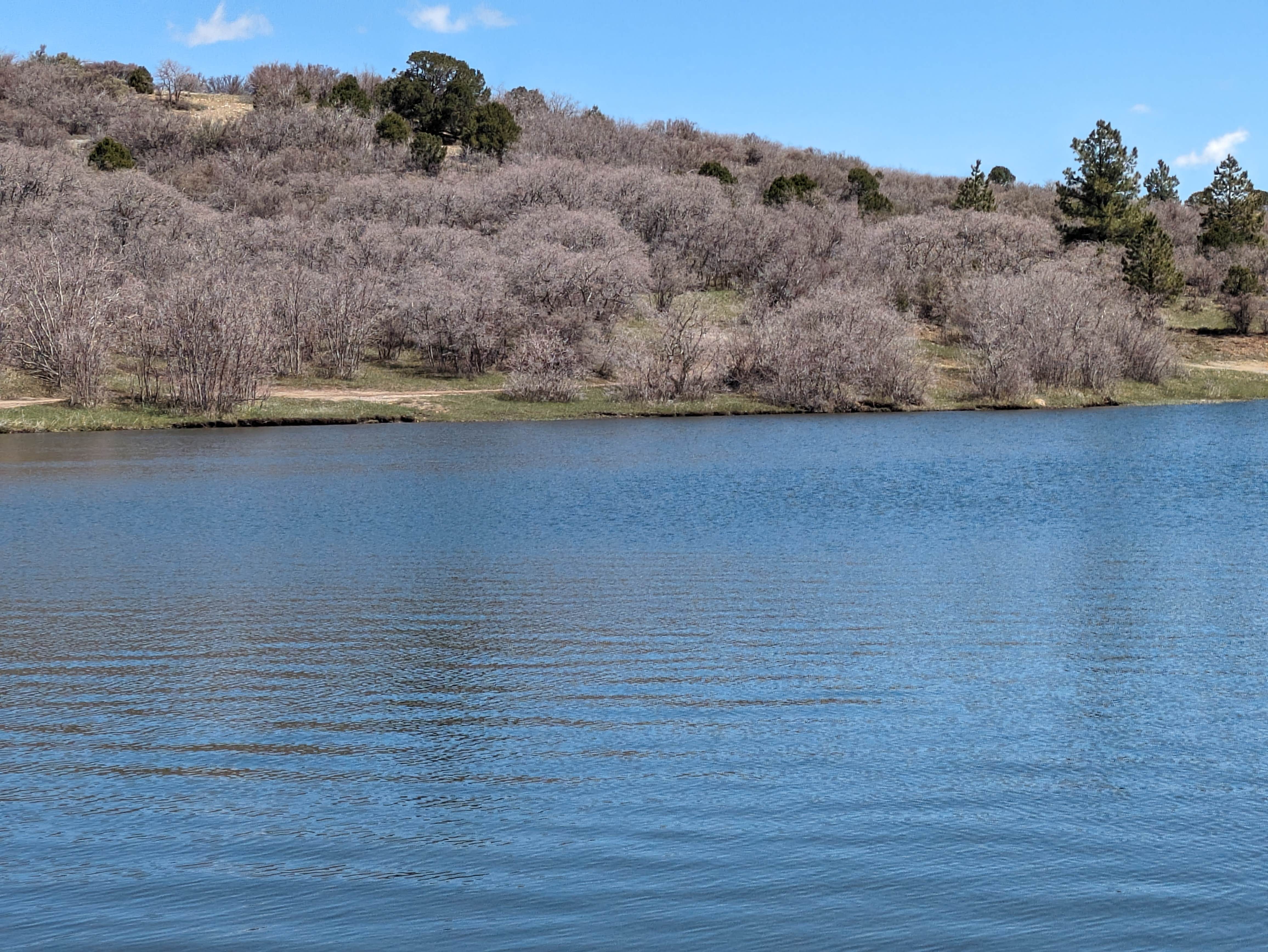 Camper-submitted photo at Monticello Lake near Dove Creek, CO