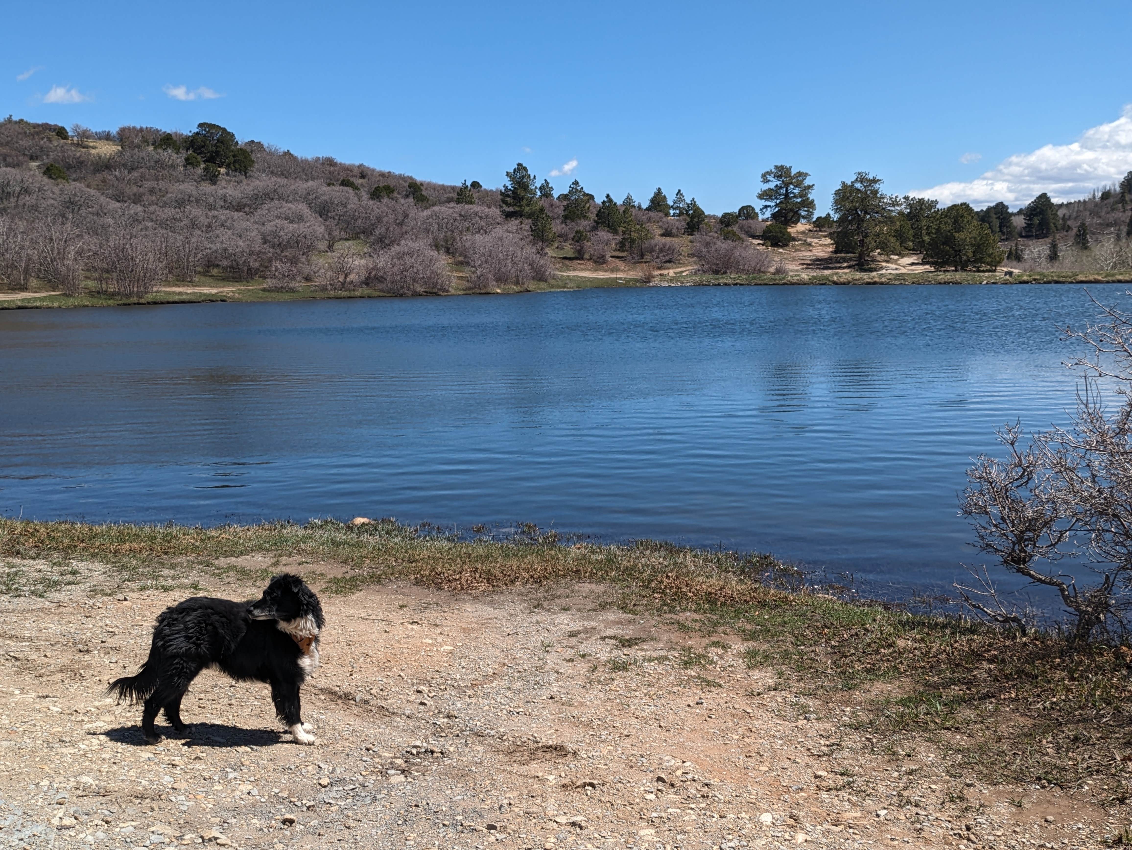 Camper submitted image from Monticello Lake - 4