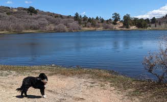 Greg L.'s photo of camping with pets at Monticello Lake near Blanding, UT