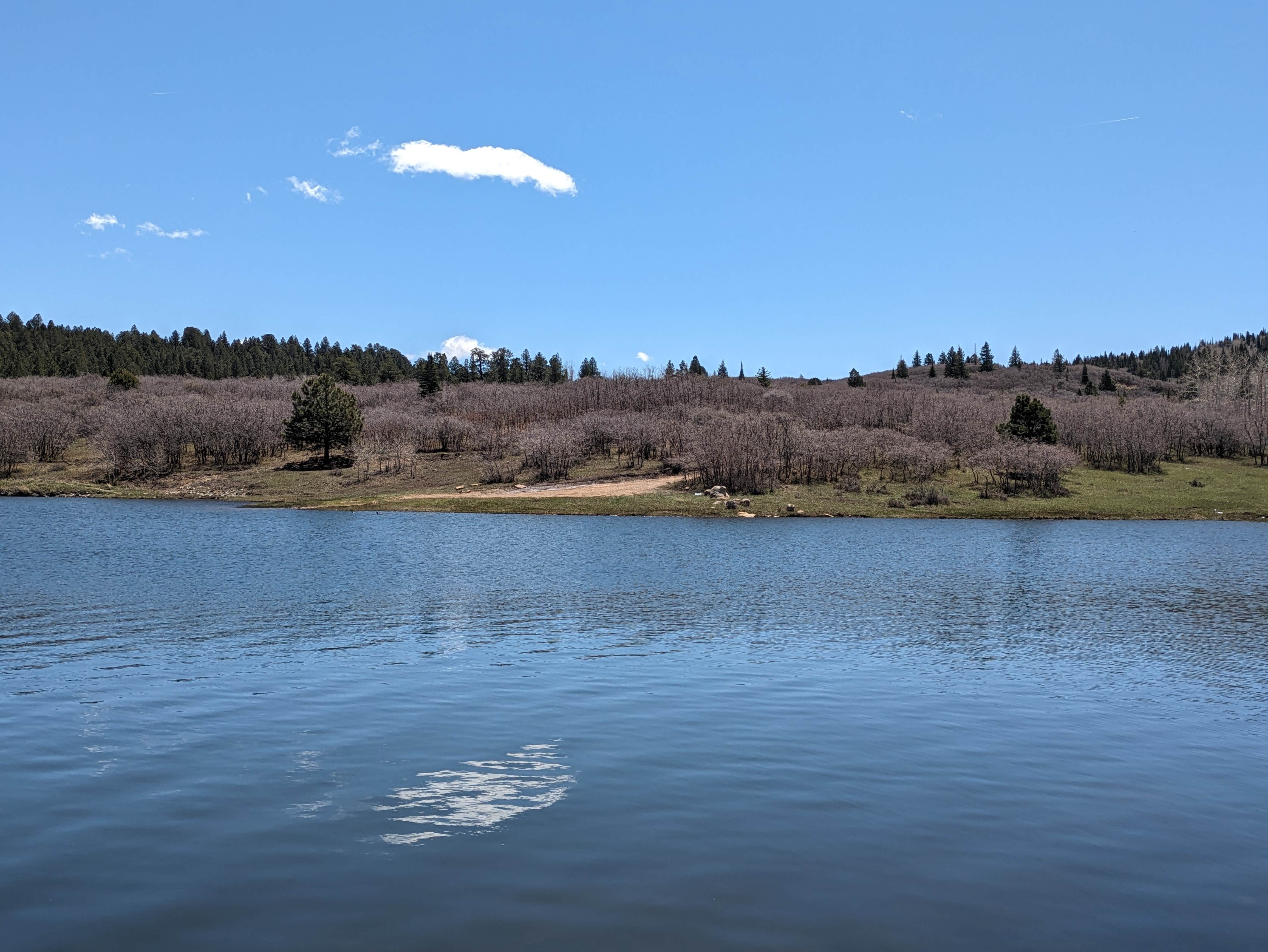 Camper-submitted photo at Monticello Lake near Dove Creek, CO