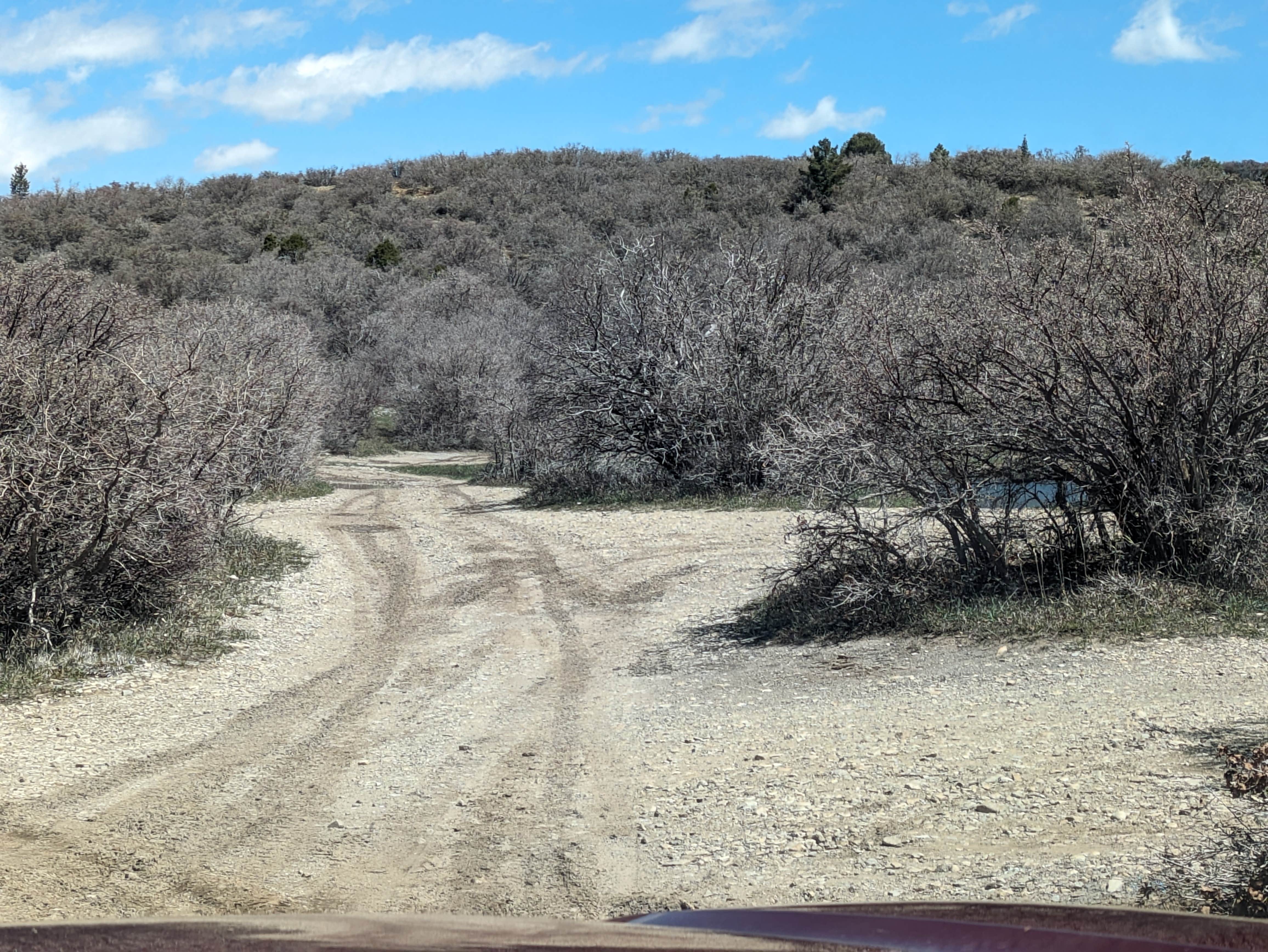 Camper submitted image from Monticello Lake - 3