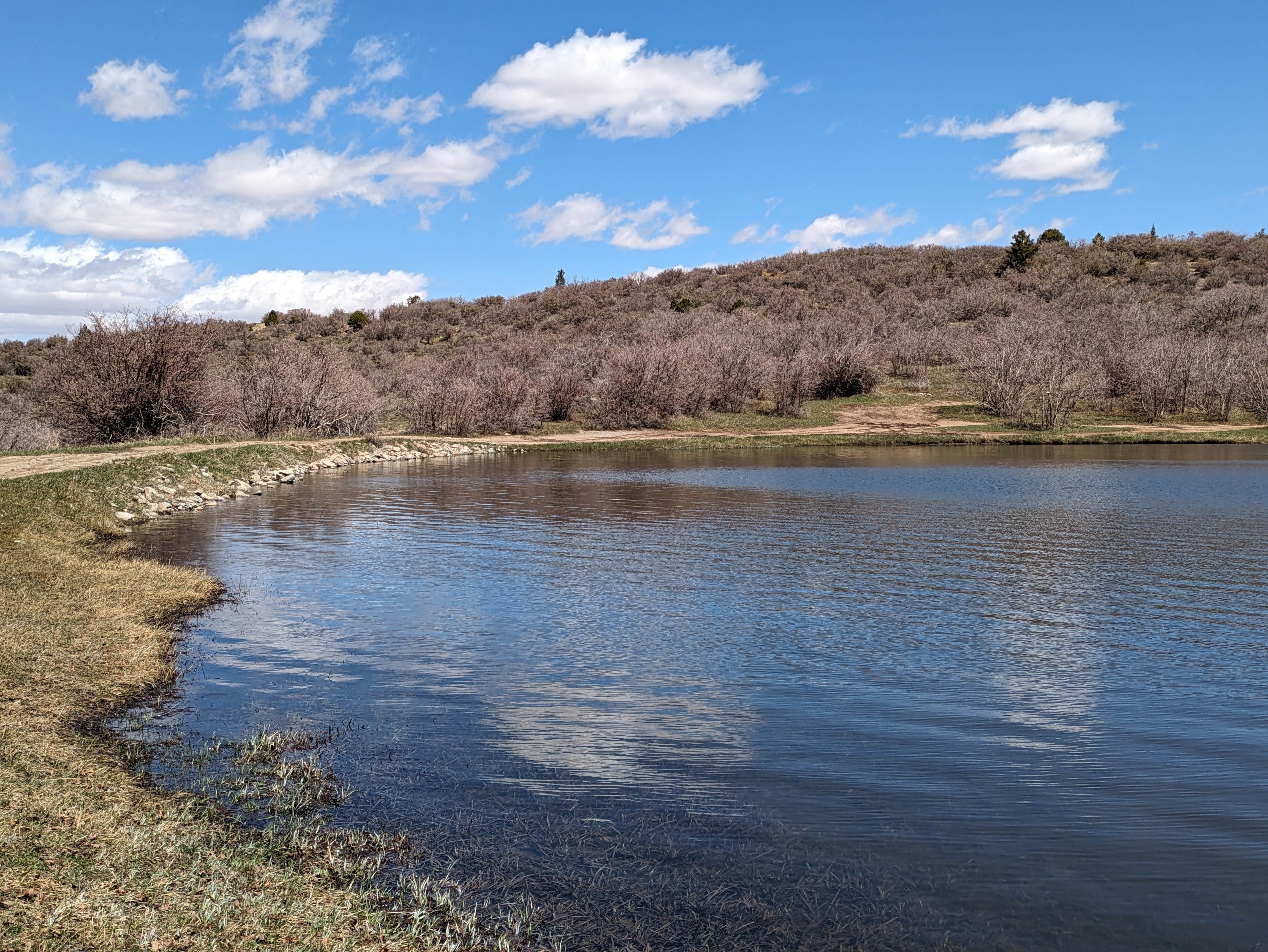 Camper-submitted photo at Monticello Lake near Dove Creek, CO