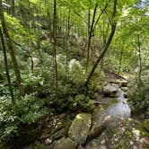 Review photo of Montreat Family Campground by John H., July 3, 2024