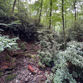 Review photo of Montreat Family Campground by John H., July 3, 2024