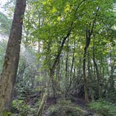 Review photo of Montreat Family Campground by John H., July 3, 2024