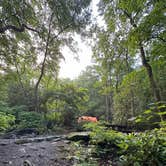 Review photo of Montreat Family Campground by John H., July 3, 2024