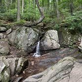 Review photo of Montreat Family Campground by John H., July 3, 2024