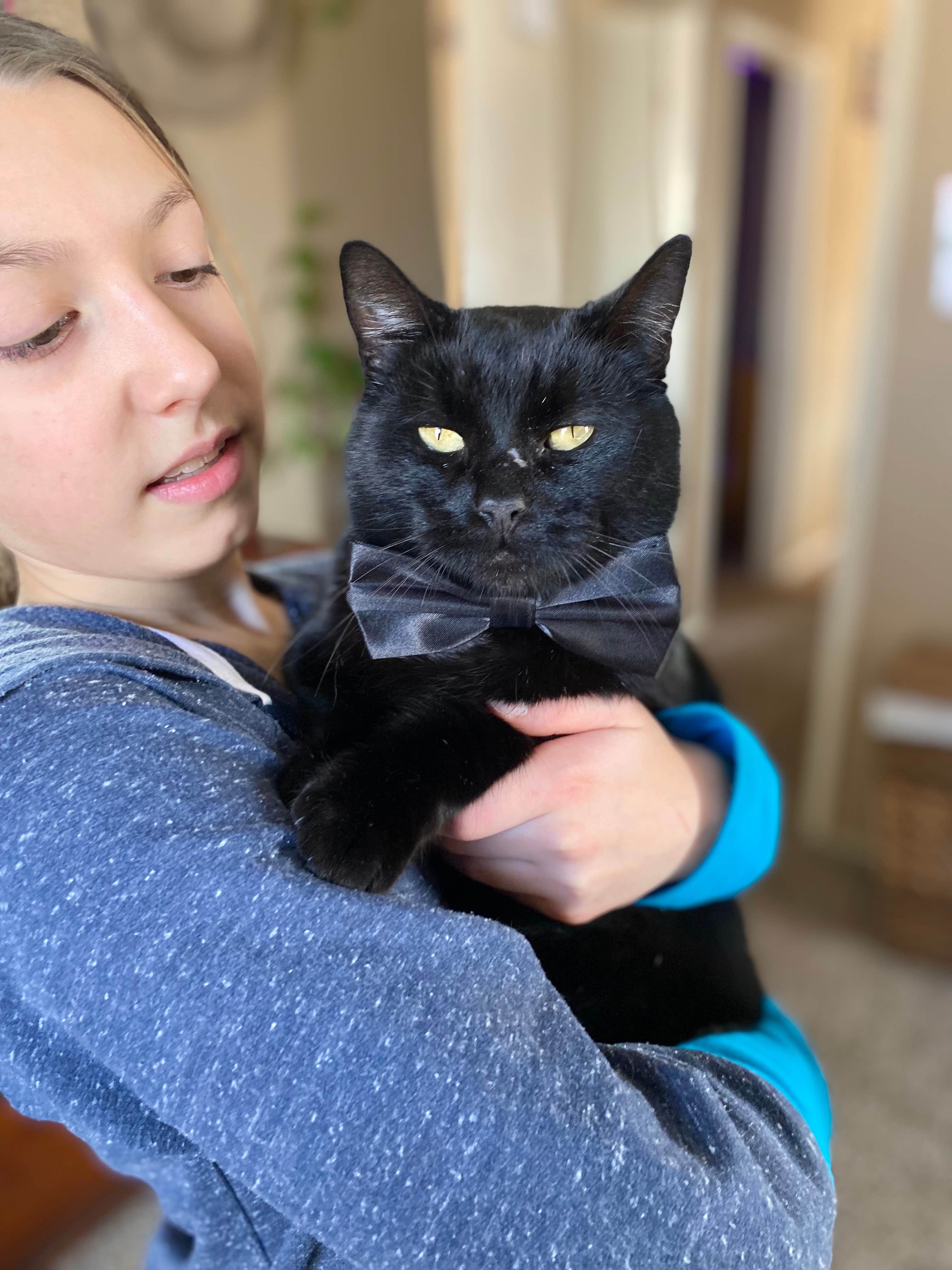 Megan C.'s photo of camping with pets at Montrose Missouri Conservation Area Dispersed Camping near Butler, MO