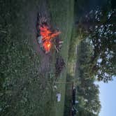 Review photo of Montrose Missouri Conservation Area Dispersed Camping by Forrest C., June 11, 2026