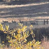 Review photo of Monument Glamping by ncgirl 0., October 22, 2025