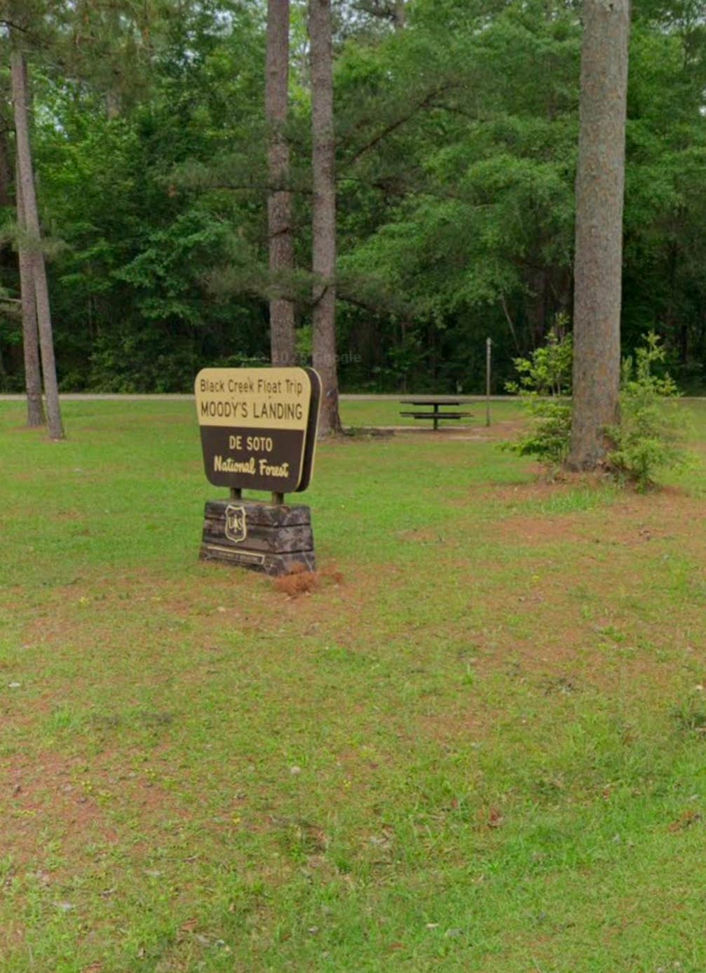 Camper-submitted photo at Moodys Landing near Beaumont, MS