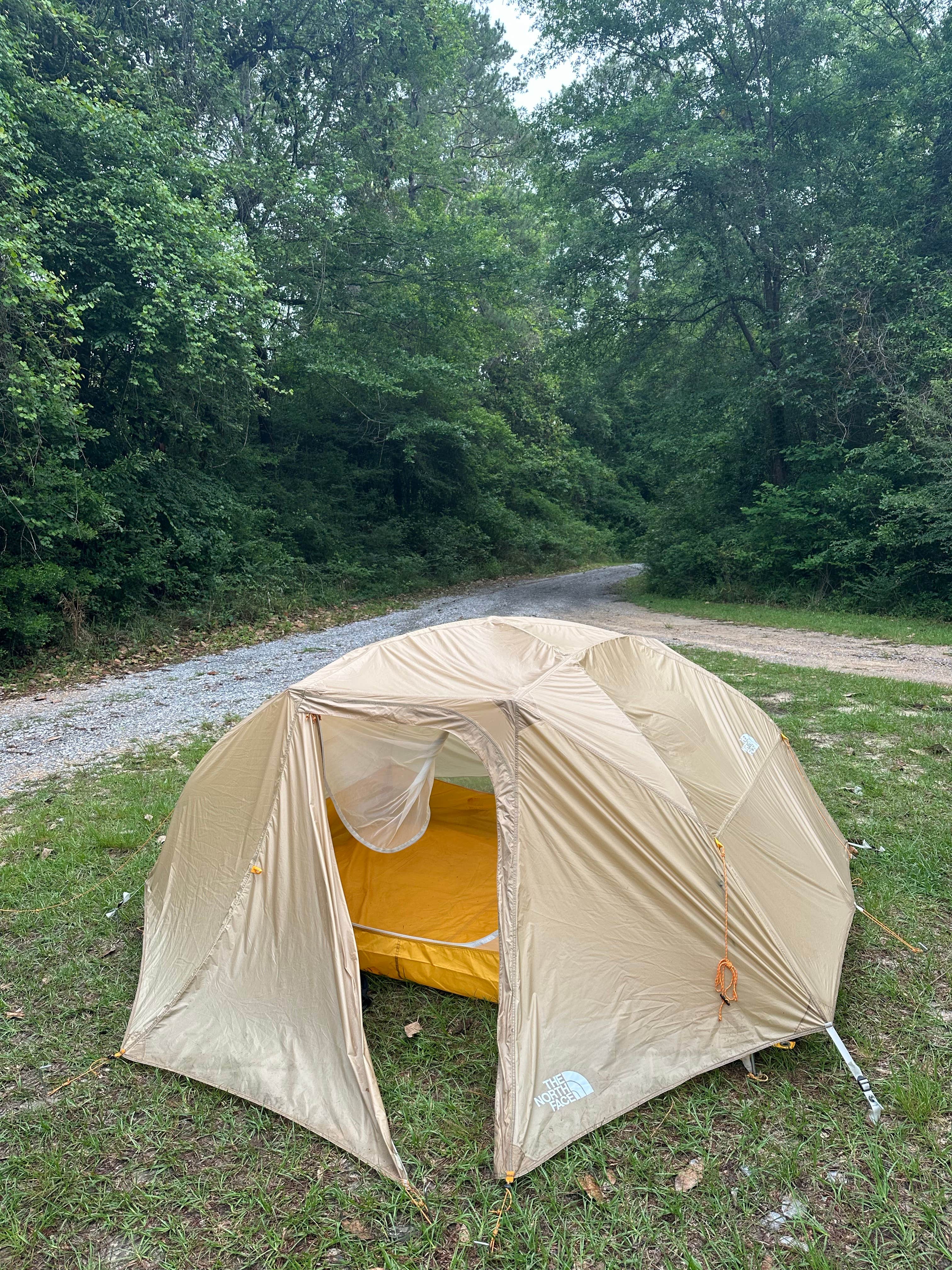Camper-submitted photo at Moodys Landing near Beaumont, MS
