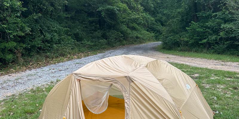 Camper submitted image from Moodys Landing