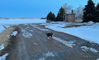 dallas H.'s photo of camping with pets at Moon Lake near Leonard, ND