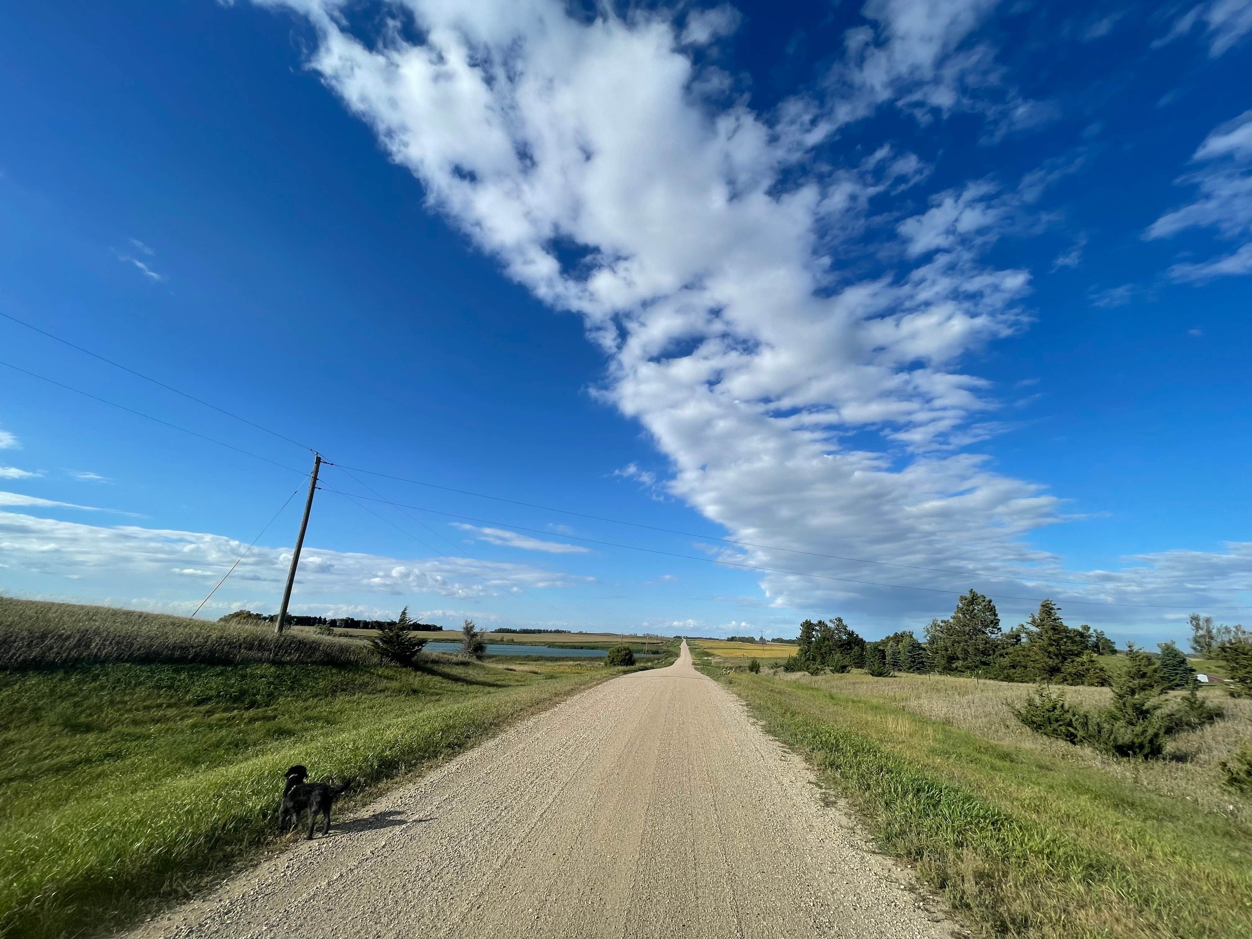 Camper submitted image from Moon Lake - 4
