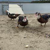 Review photo of Moon Lake by Ivy C., September 20, 2026