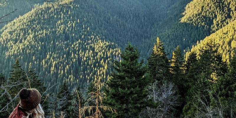 Camper submitted image from Moonshadow Meadows