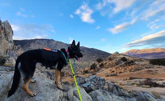 G R.'s photo of camping with pets at Moon Rocks Camp near Silver Springs, NV