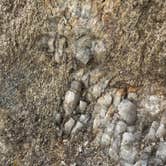 Review photo of Moon Rocks Camp by Victoria S., September 11, 2025