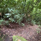 Review photo of Moonshine Creek Campground by Kim Q., July 2, 2026