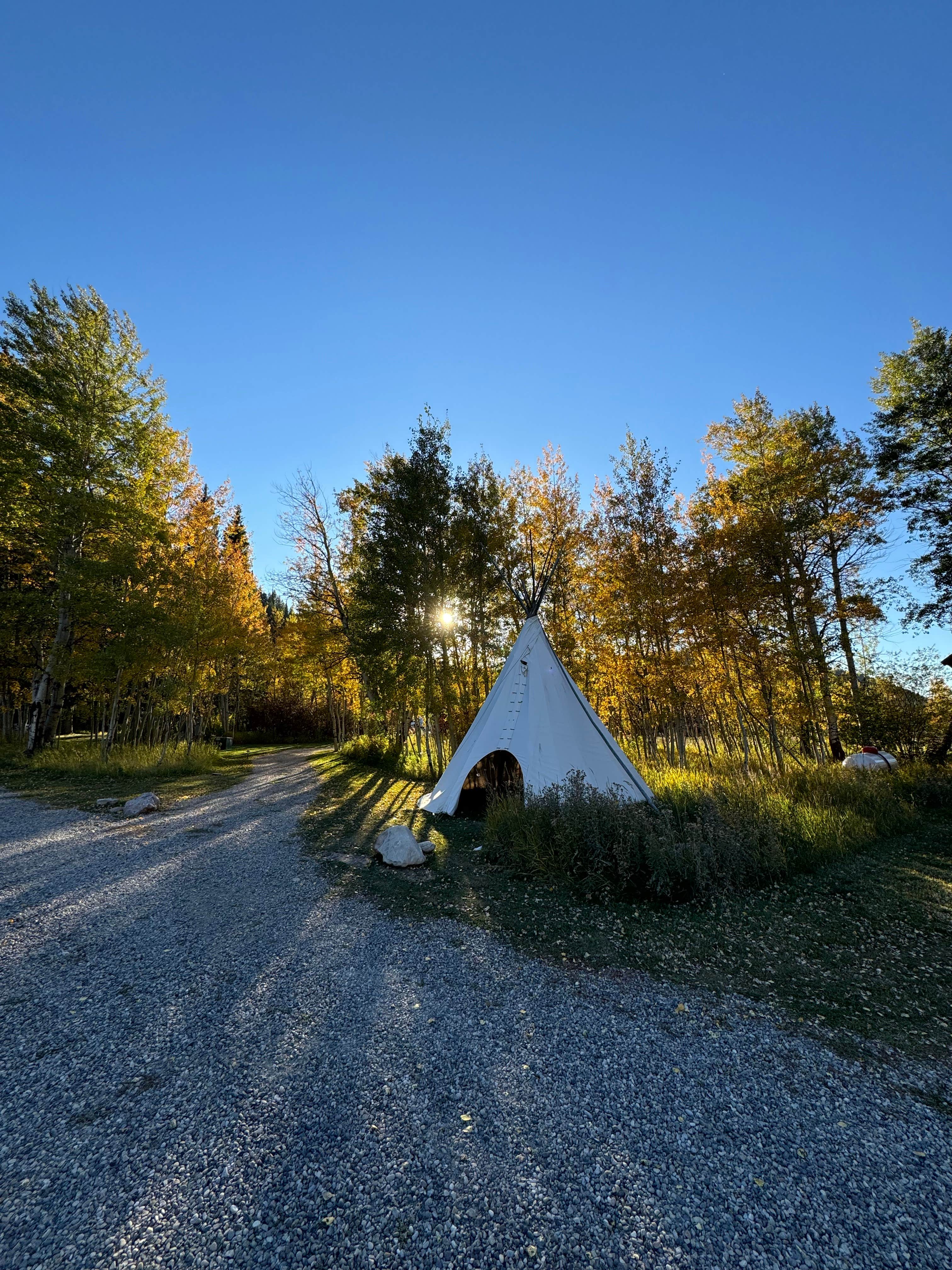 Camper submitted image from Moose Creek Ranch - 4