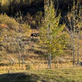 Review photo of Moose Creek Ranch by Jessica S., October 18, 2024