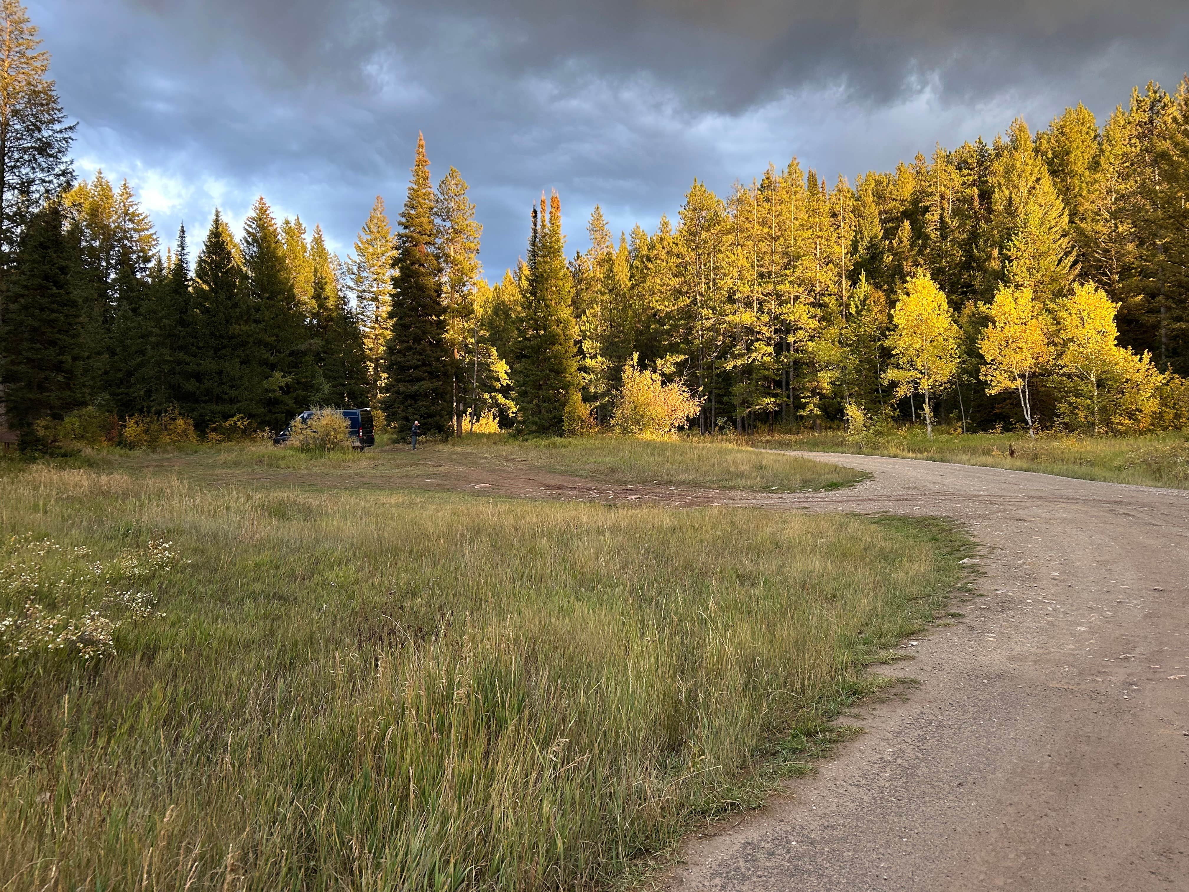 Camper submitted image from Moose Creek Trailhead Dispersed Area - 2