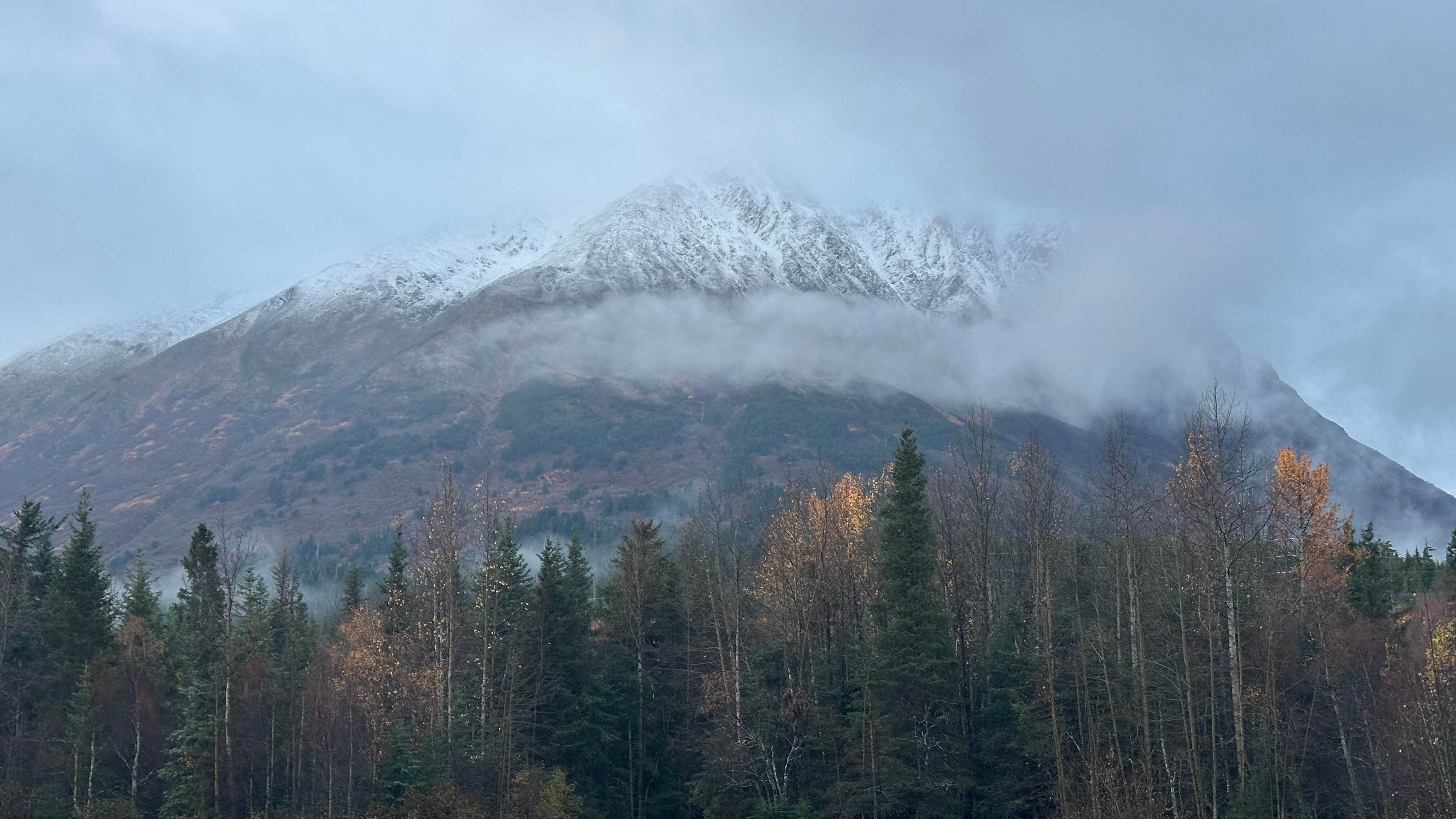 Camper-submitted photo at Moose Pass near Indian, AK