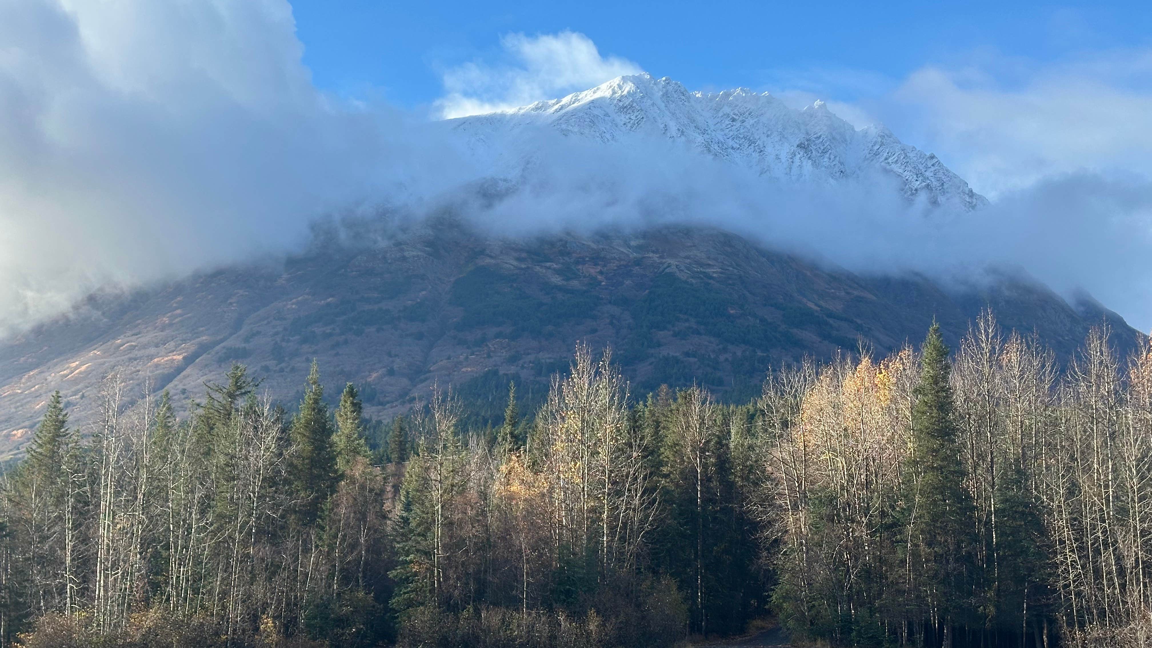 Camper submitted image from Moose Pass - 1